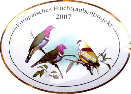 Fruchttaubenprojekt Logo